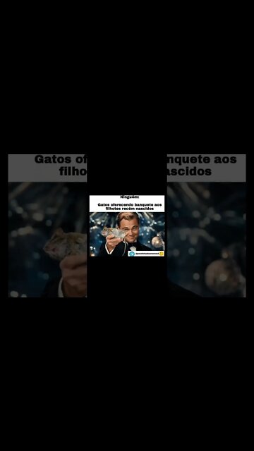 memes em imagens #84 motorista de uber #shorts