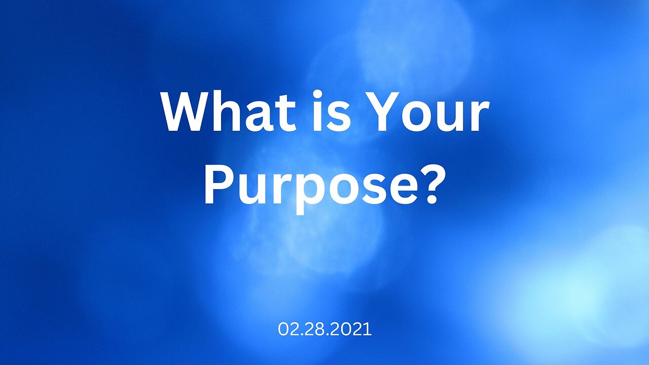 What Is Your Purpose? 02.28.2021