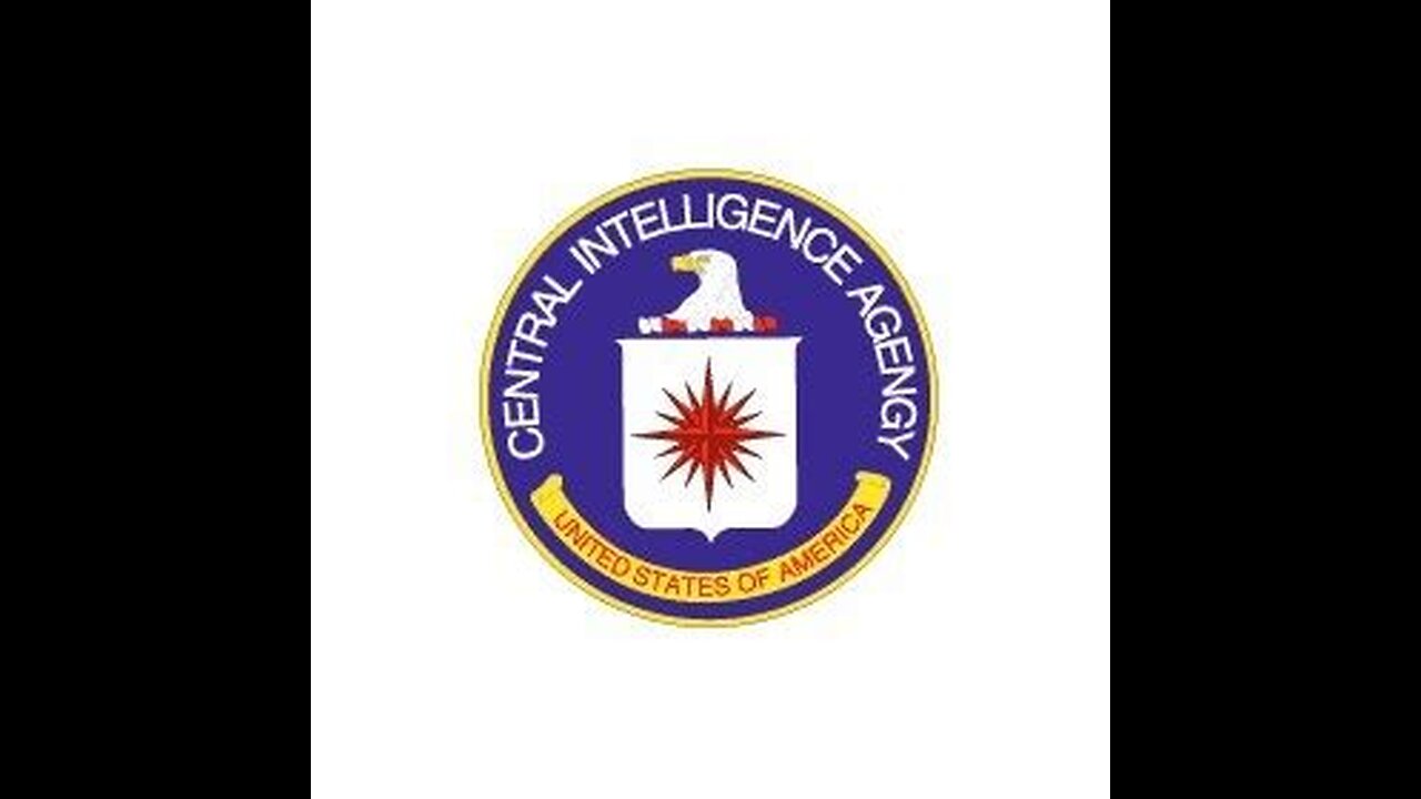 Survive a CIA Assassin!