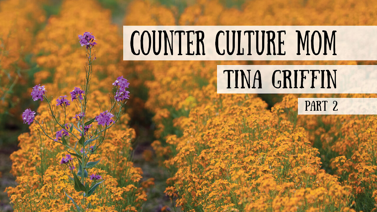 Counter Culture Mom - Tina Griffin, Part 2