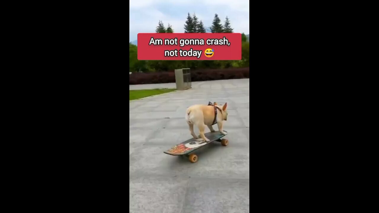 Iām not gonna crash today š