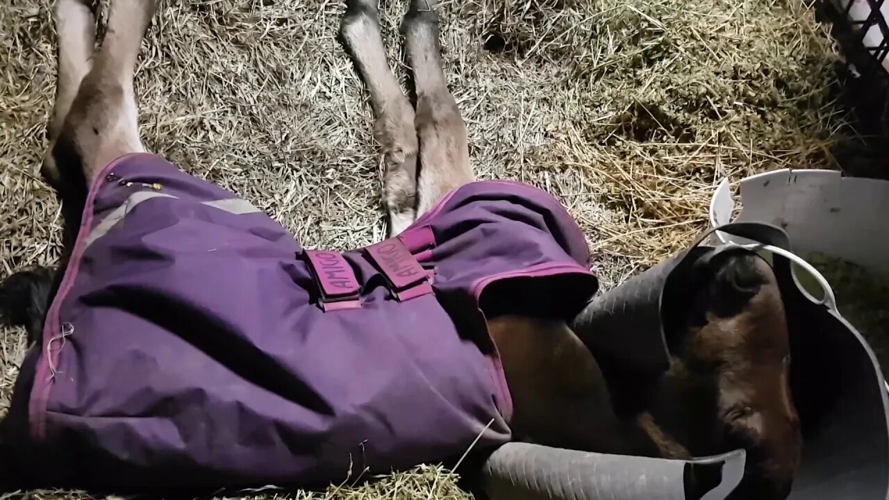 20180620_193941.mp4