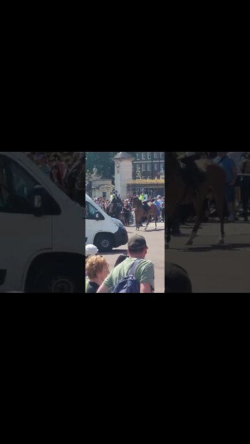 police horse plays up #buckinghampalace
