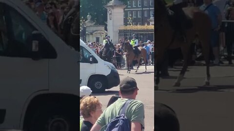 police horse plays up #buckinghampalace
