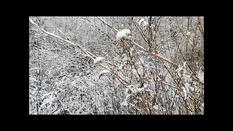 nie ma większej radości, niż brak powodu do smutku :):)