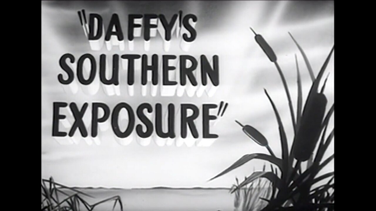 Daffy's Southern Exposure