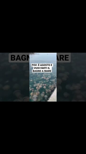 POV: È AGOSTO E VUOI FARTI IL BAGNO A MARE