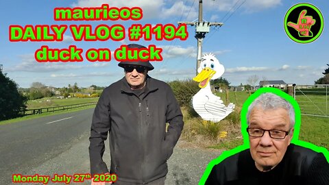 maurieos DAILY VLOG #1194 duck on duck