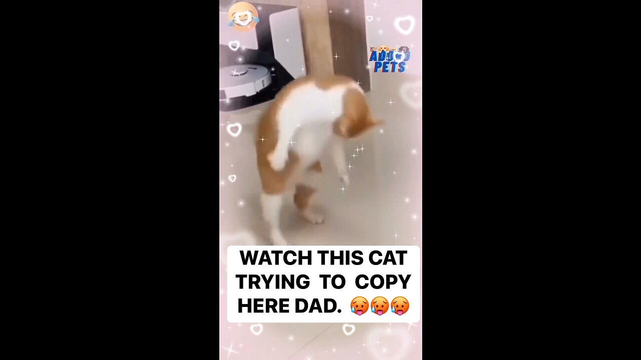 Cat trying to copy here dad