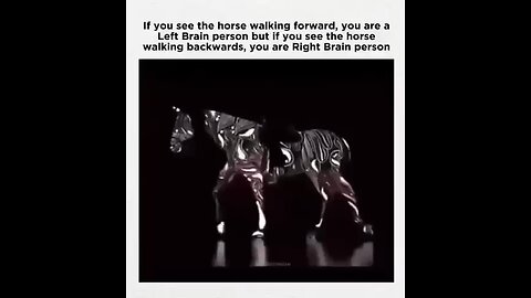 Which way do you see the horse walking?