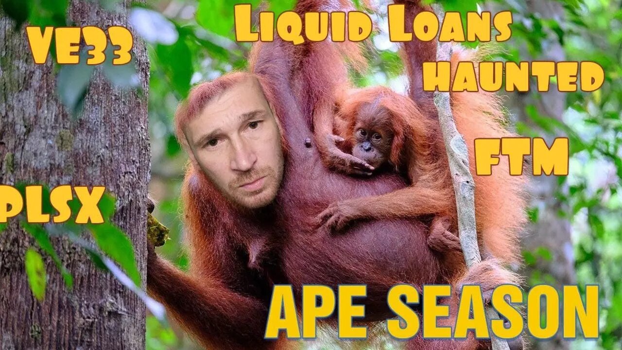 Charts, Ape Season, Projects that You Cant MISS!!!. Must Ape