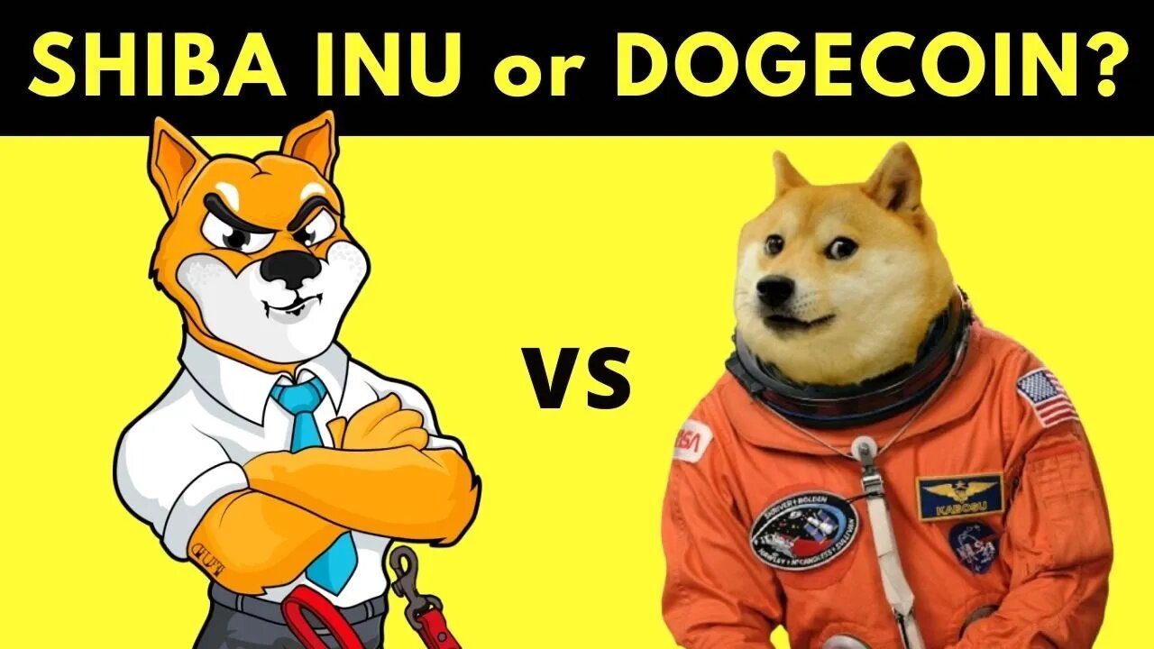 SHIBA INU COIN vs DOGECOIN: Which is BEST?! 🔥