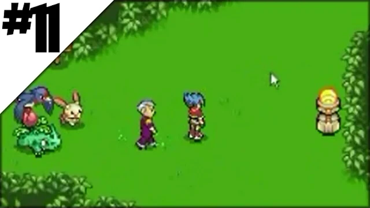 Pokemon Ranger Walkthrough Part 11: Looped Forest