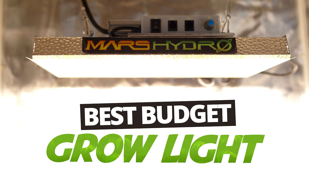 The Best Budget Grow Light You Can Buy - Mars Hydro TS 1000 Review