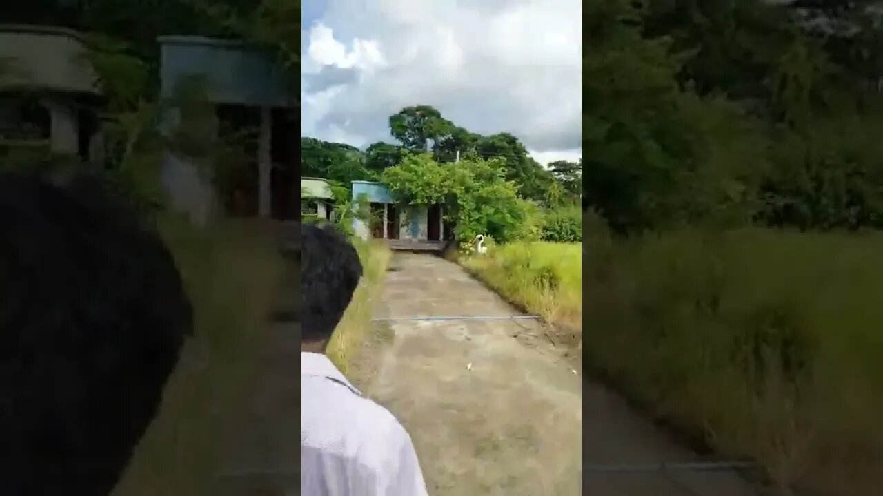 ঘুরতে এসে যখন টয়লেটে পায় 😆