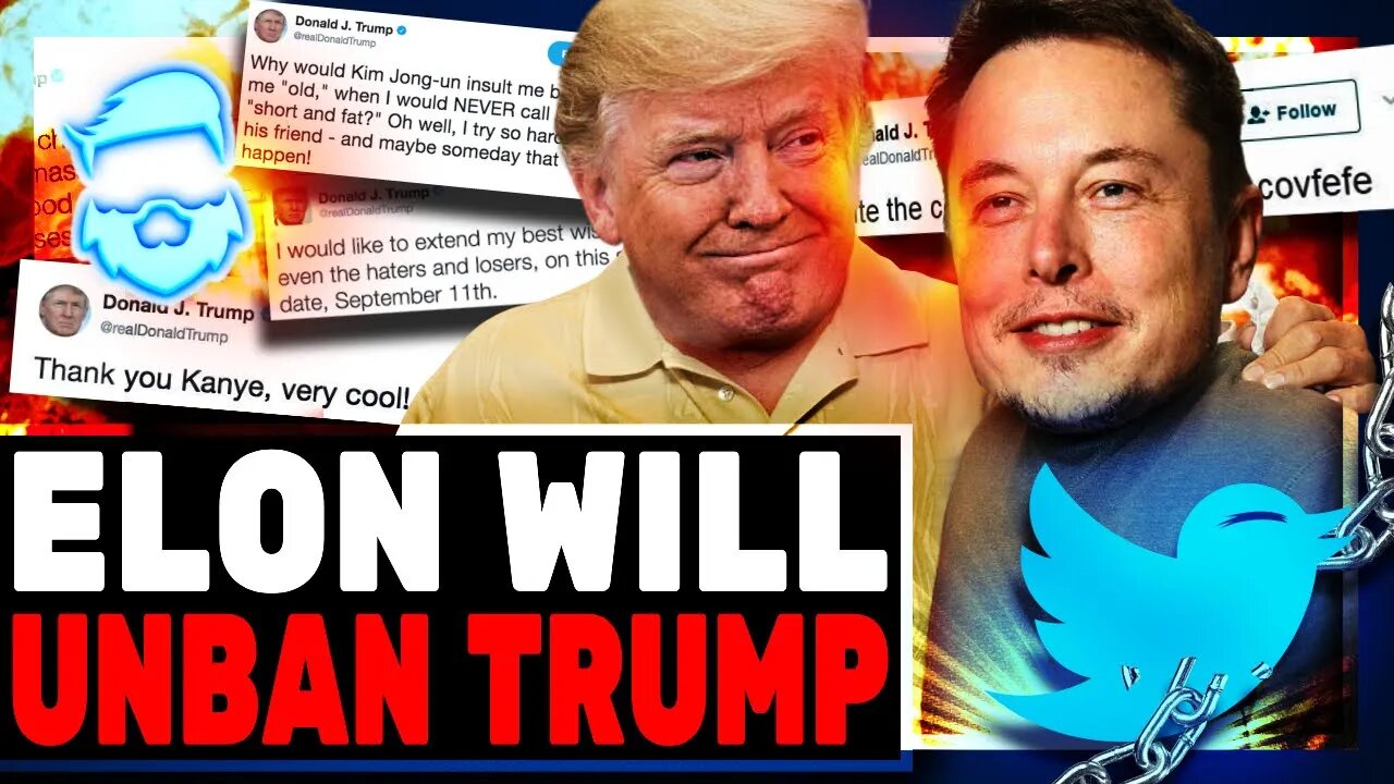 Elon Musk Will Reinstate Donald Trump On Twitter & CNN Goes Ballistic