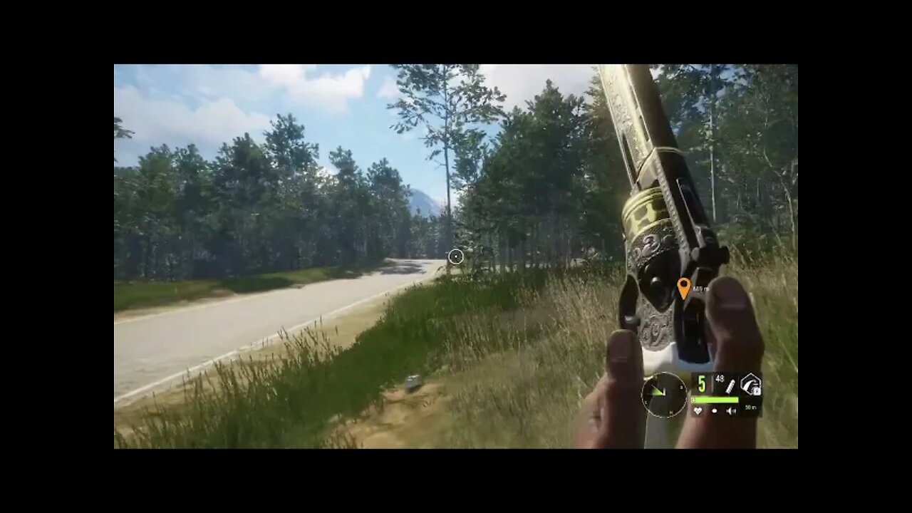 TheHunter Call of The Wild