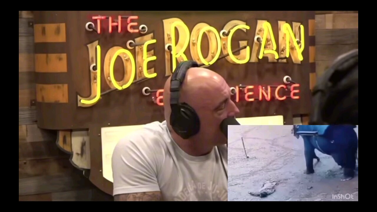 Elephant crushes handler- Joe Rogan reacts