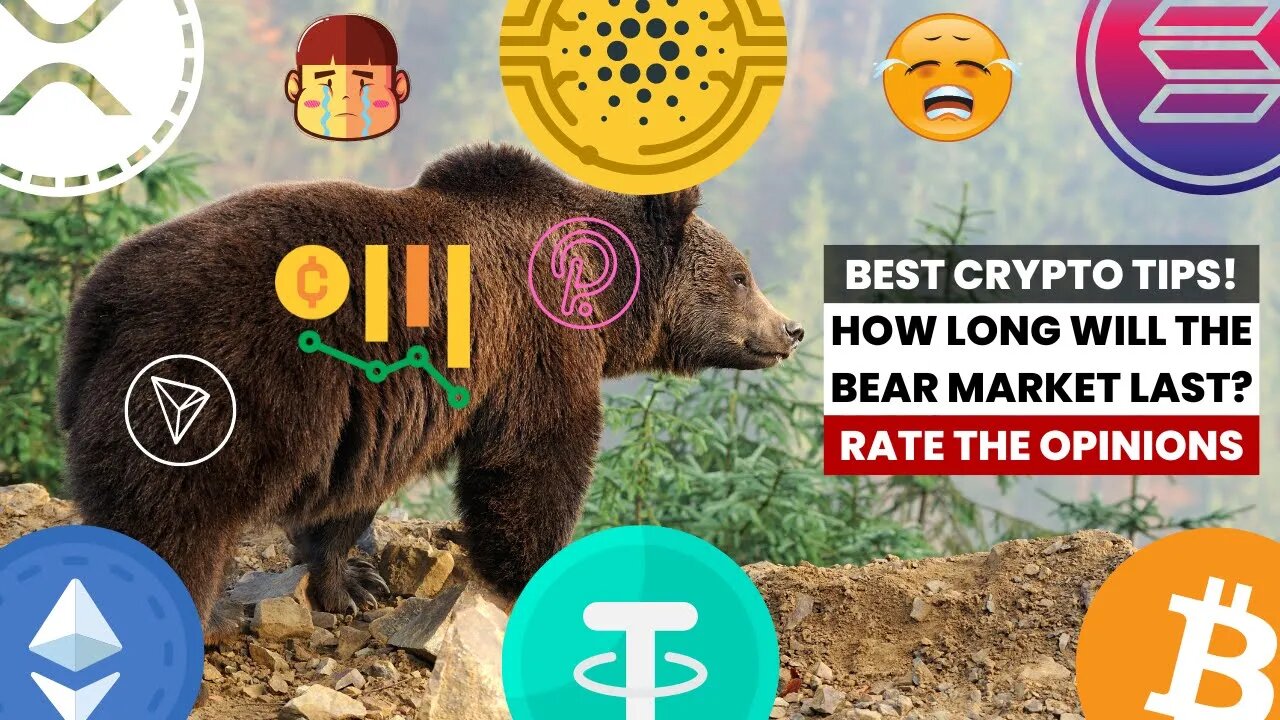 Rate Them - Crypto Tips - How Long Will The Bear Market Last? 💰₿🐻 #shorts