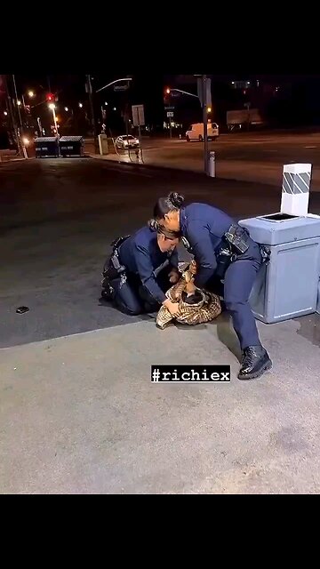 Why Most ( if not all ) Women Should Not Be Cops