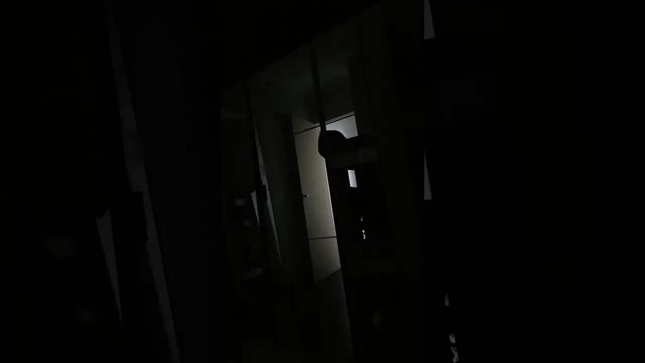 Um vulto passou pela claridade da porta...veja com atenção???
