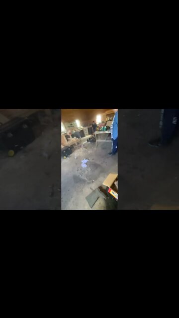 Tim shredding paper with lawnmower #shorts