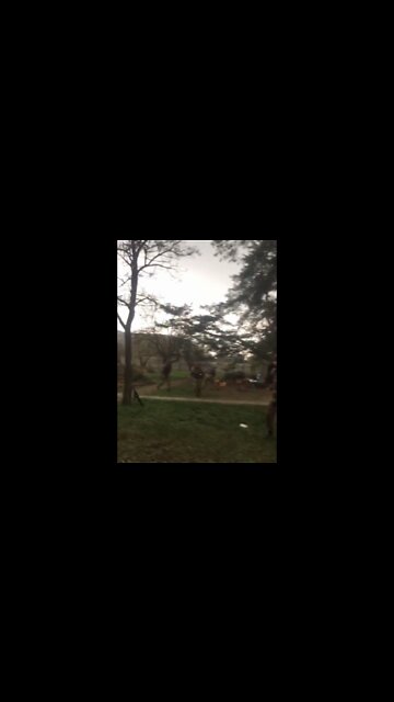 Ukrainian militants fire mortars under cover of residential buildings