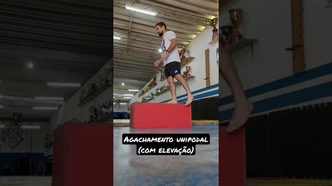 Agachamento Unipodal (com elevação)