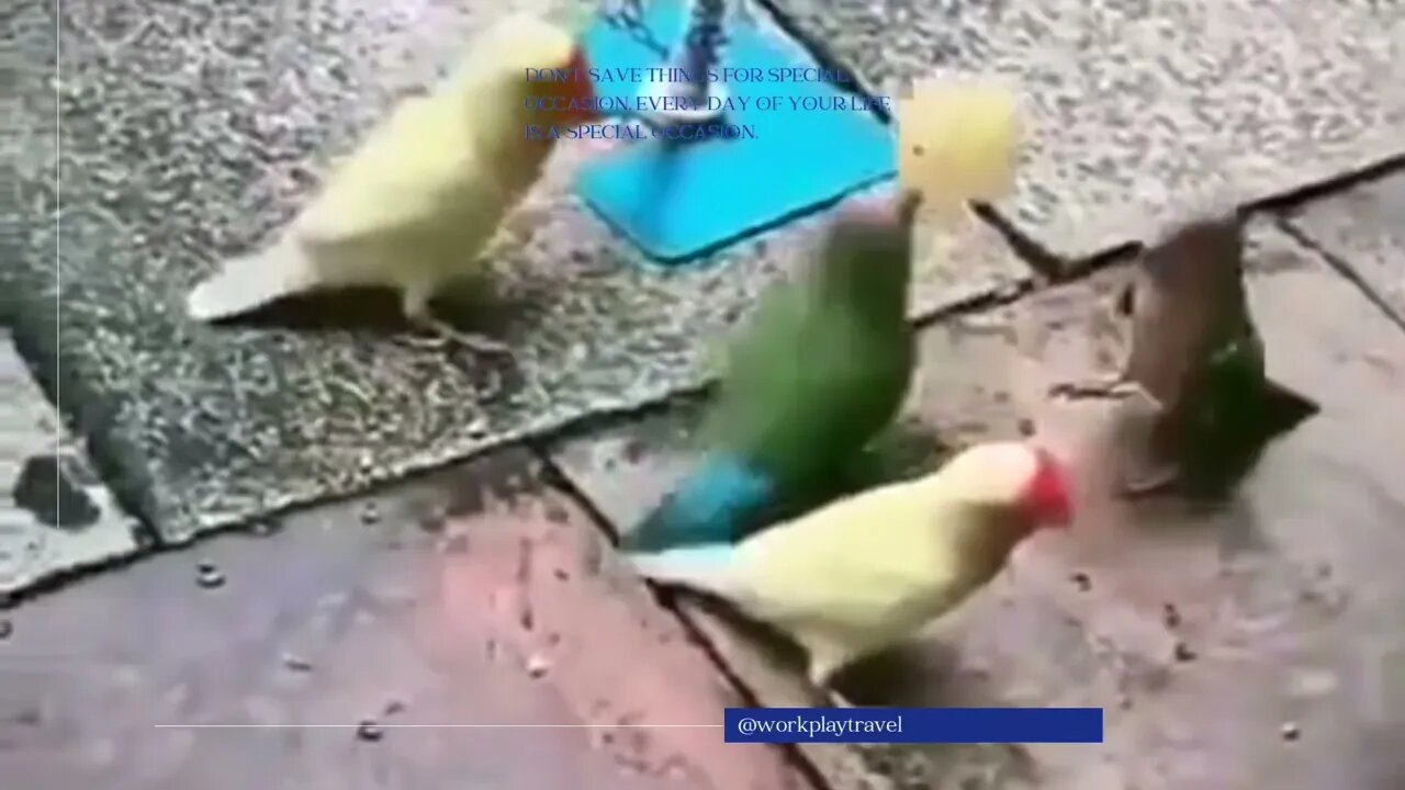 Daily Mood // Every day is special🐦🦅🤣
