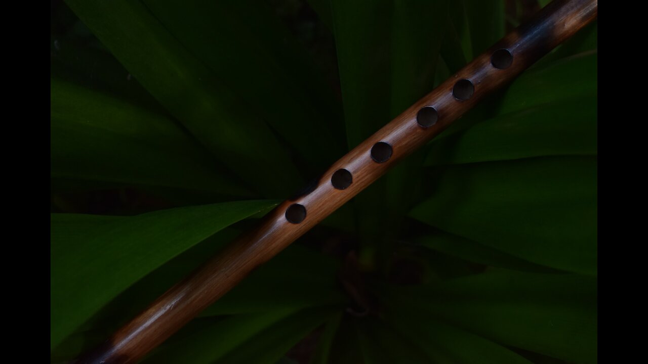 Relaxation Station - Half Hour of Native American Flute - Black Background