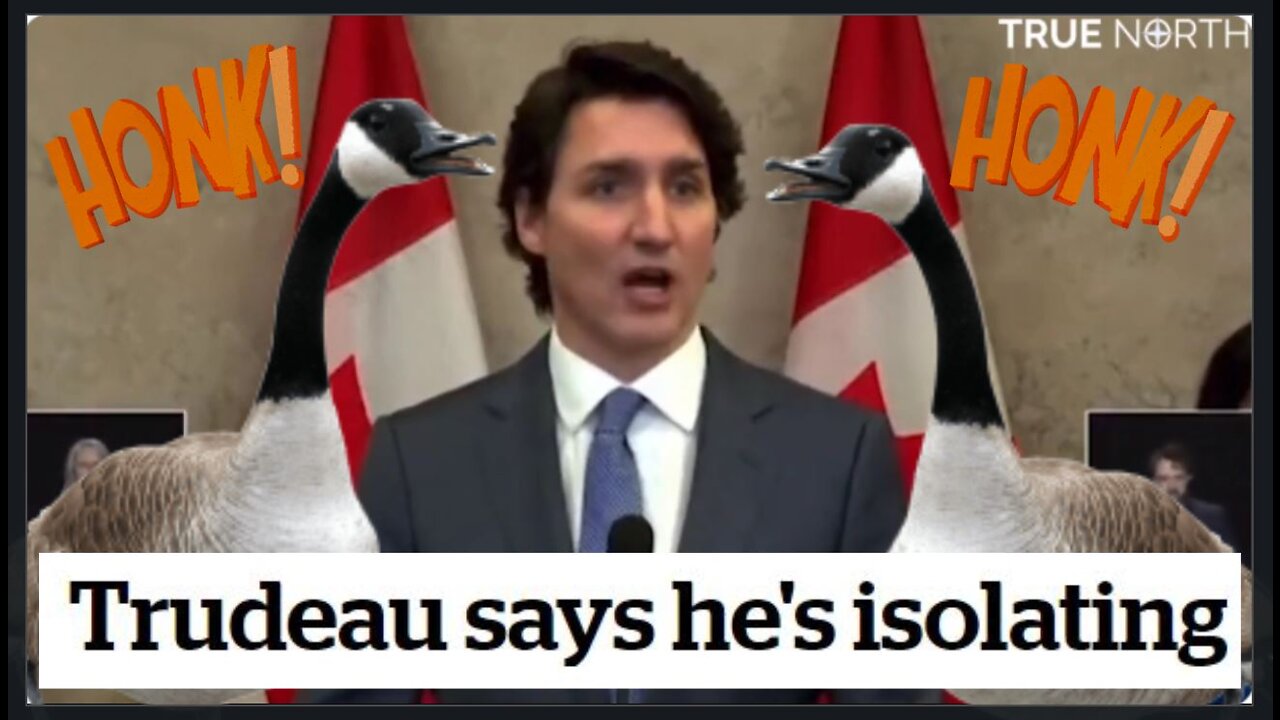 Trudeau In Isolation 'Due To Exposure', Silly Goose FLIES AWAY From Flocking Trucker Convoy