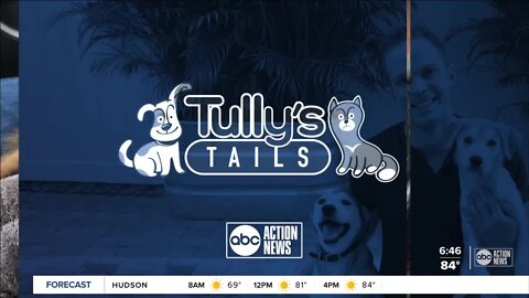 Tully's Tails: Meet Missy