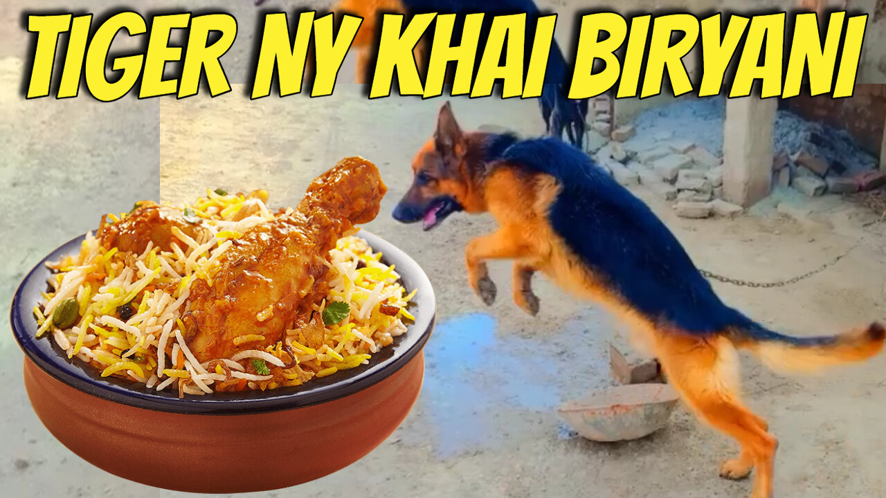 TIGER NY KHAI BIRYANI