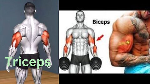 Best Biceps and Triceps Workout