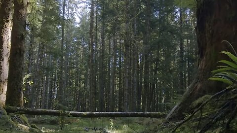 The Whole World Is A Stage 🎭 [PT.3]