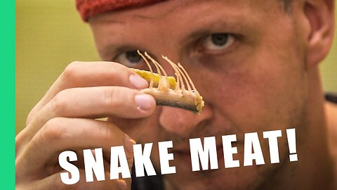 9 Reasons to eat snake in Taiwan