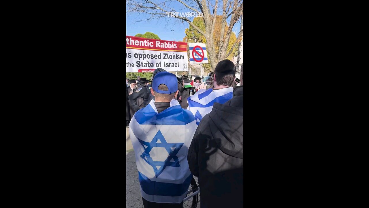 good jews vs greedy zionists at Nov 14th Capitol Zionist March