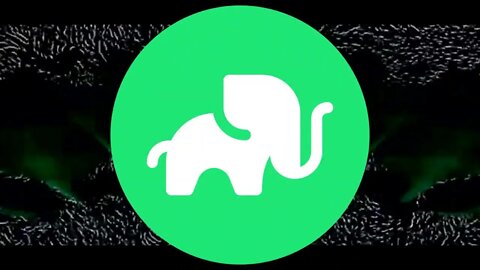 Elephant Money Exploit 11mill Lost. Is The Party Over? TRUNK ELEPHANT