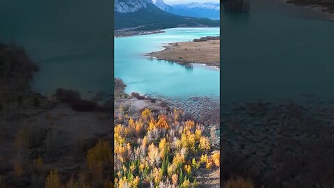 Tranquil Nature #short #soothing #nature #relaxing