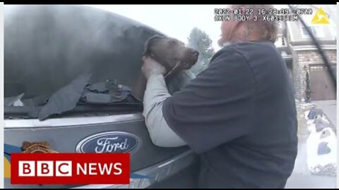 Dog rescued from car fire in Colorado, US - BBC News