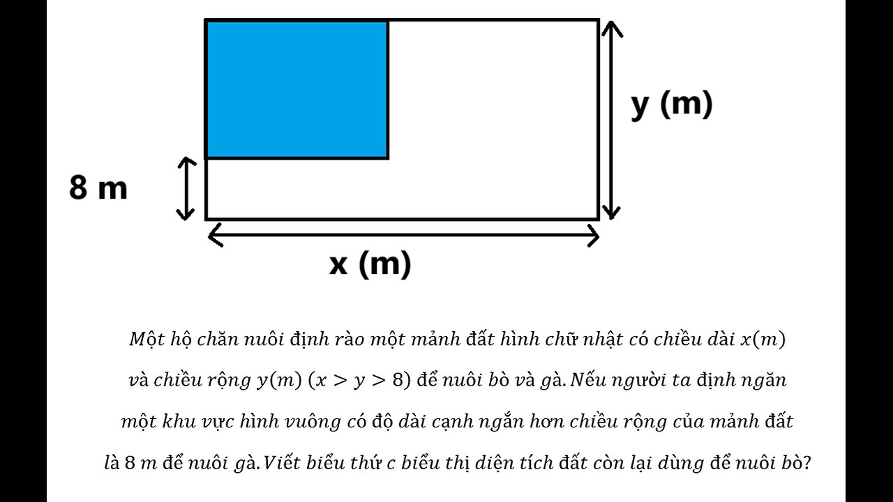 Toán 9: Một hộ chăn nuôi định rào một mảnh đất hình chữ nhật có chiều dài x(m) và chiều rộng y(m)