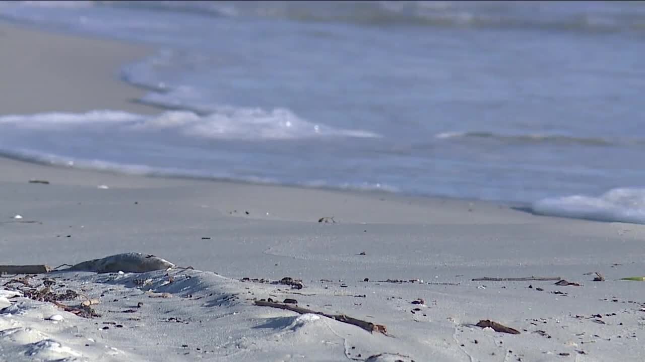 FMB businesses feeling impacts of red tide and new challenges after Hurricane Ian