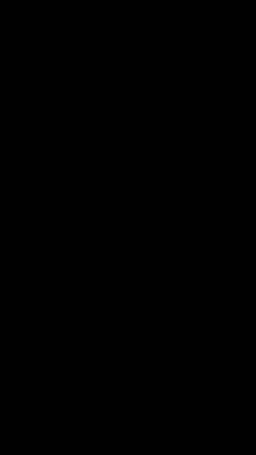 The thrill of the catch