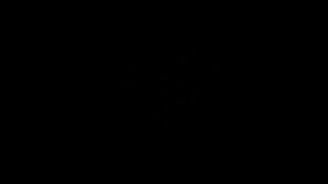 The thrill of the catch