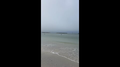 Livestream Replay - Foggy Morning In Paradise