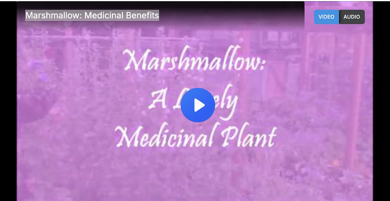 Marshmallow: Medicinal Benefits