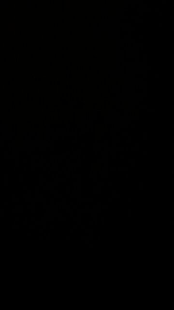 ￼￼ Palestinian genocide