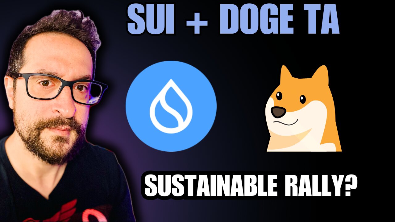 Analysis on SUI and DOGE: Insights and Pro Tips