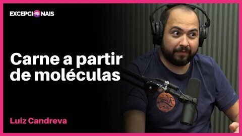 O Mercado Futurista da Carne | Luiz Candreva