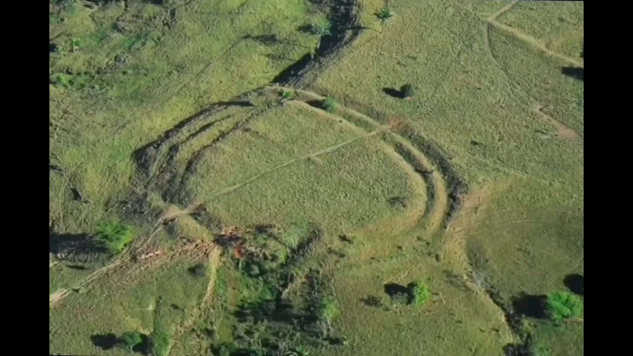 THE AMAZONIAN FOREST ISLANDS. A SOLUTION FOR THE FUTURE REFORESTATION OF THE EARTH?